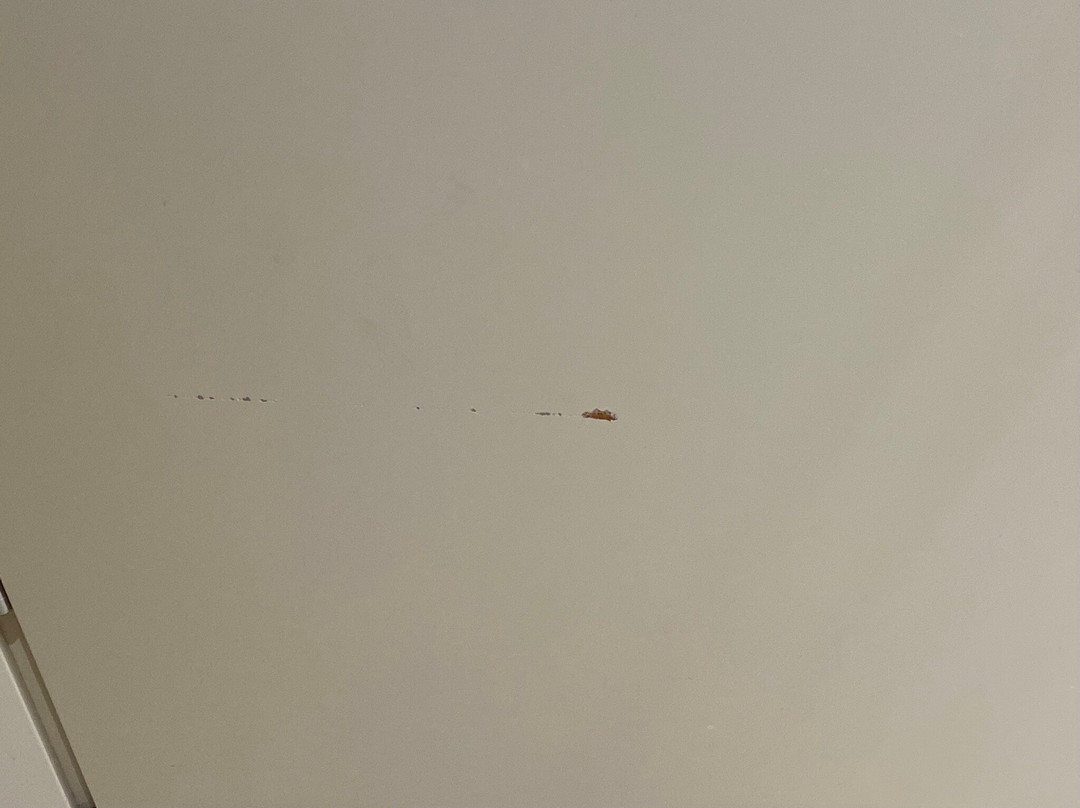 帕多瓦B4酒店主图