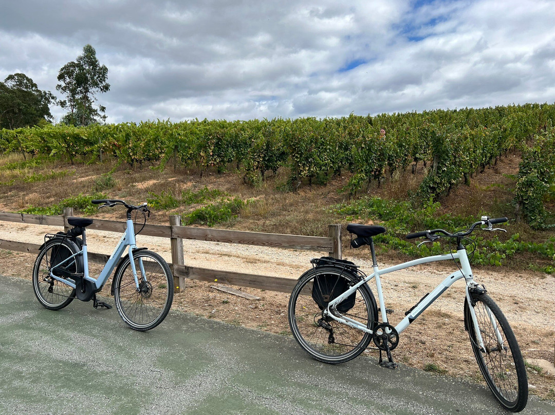 Abelenda Bike Rental景点图片