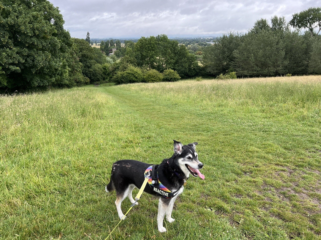 Wittenham Clumps-Little Wittenham必去景点