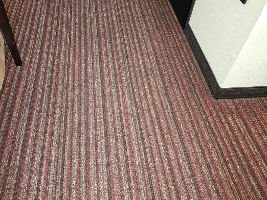 Best Western Seneca-Clemson主图