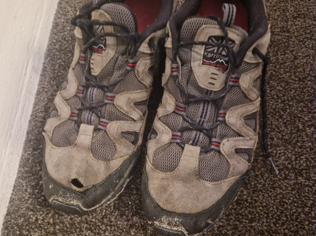 Lauriston Court Hotel主图