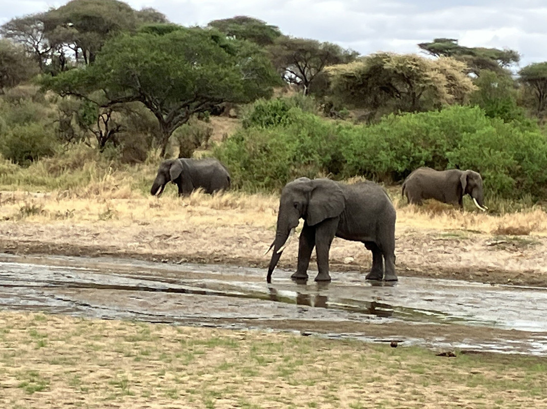 Halisi African Adventures-Dar es Salaam必去景点
