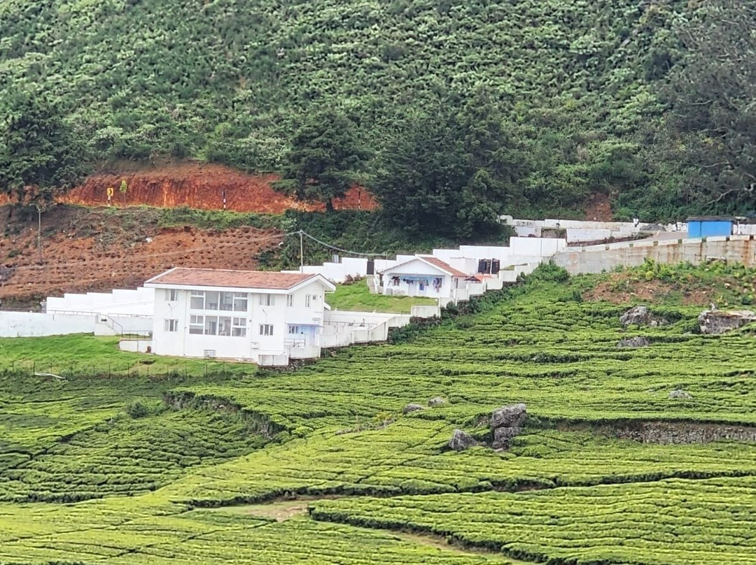 Lynfields Leisure主图