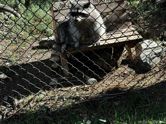 DiVine Tours-坎卢普斯必去景点
