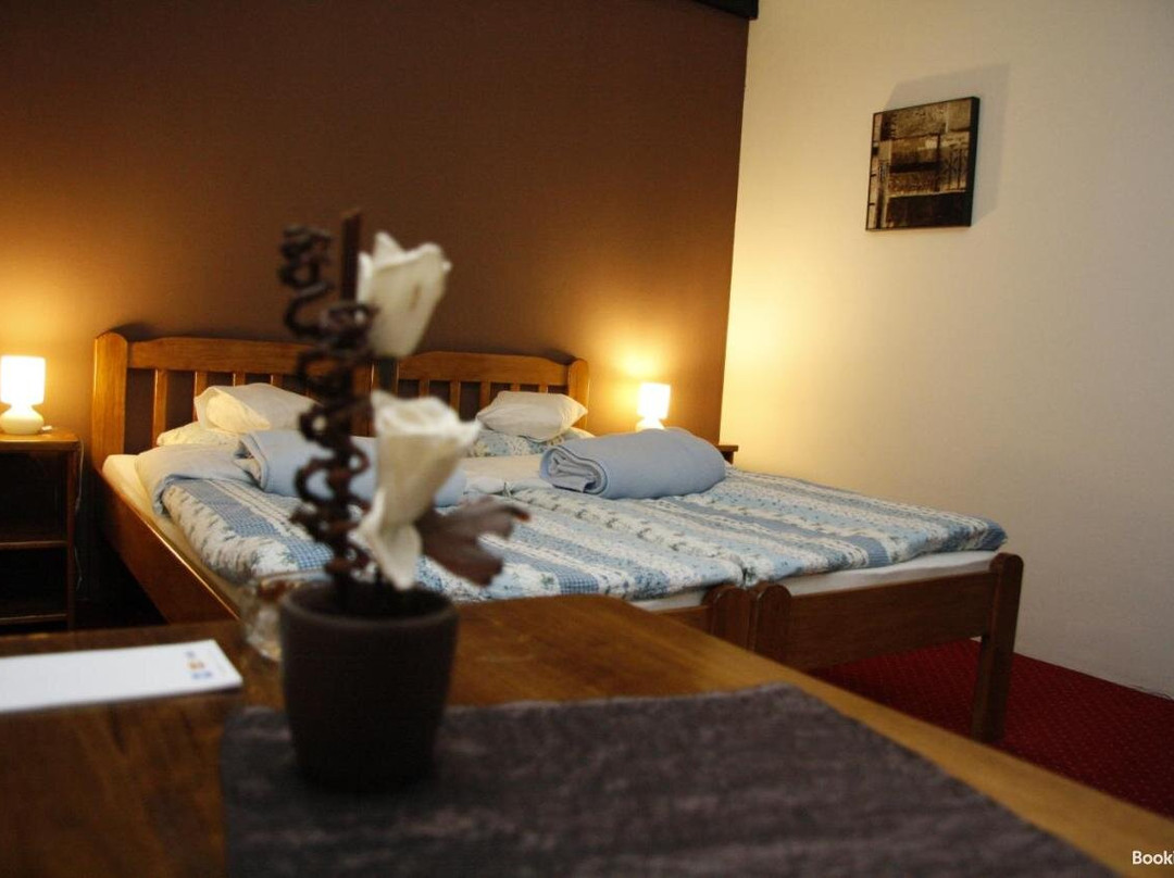 B&B Valpovacki dvori主图