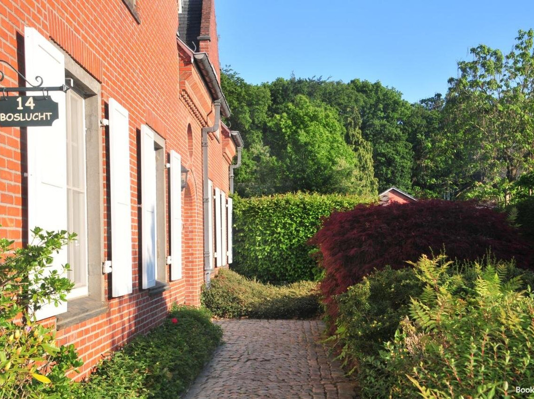 Boslucht Leuven主图