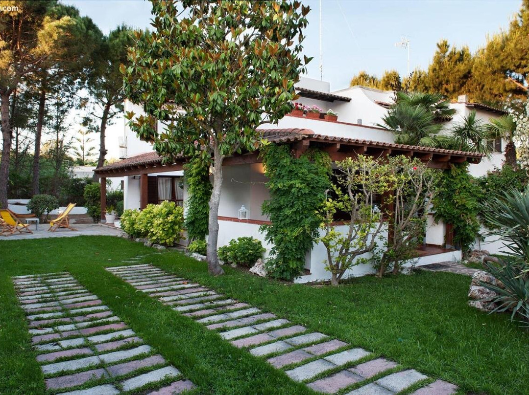 B&B Canneto Beach主图