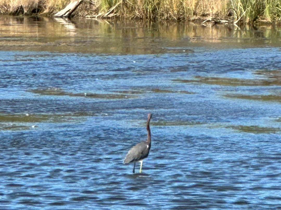 Gordons Pond-里霍博斯比奇必去景点