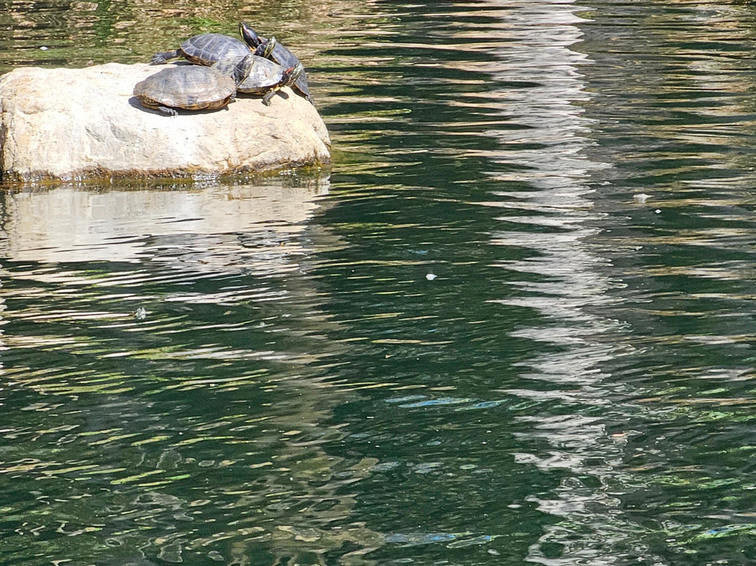 Kenneth Hahn State Recreation Area-洛杉矶必去景点