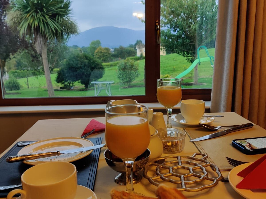 O'Shea's Ceol Na Habhann主图