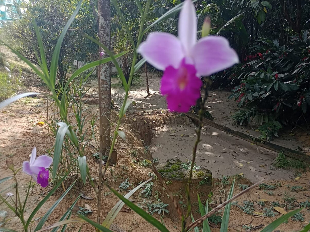 Hotel Reserva Aguamarina主图