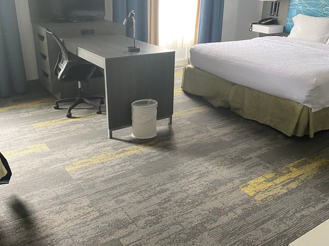 威尔士湖希尔顿恒庭旅馆&套房酒店主图