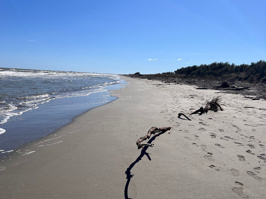 Spiaggia Boccasette景点图片