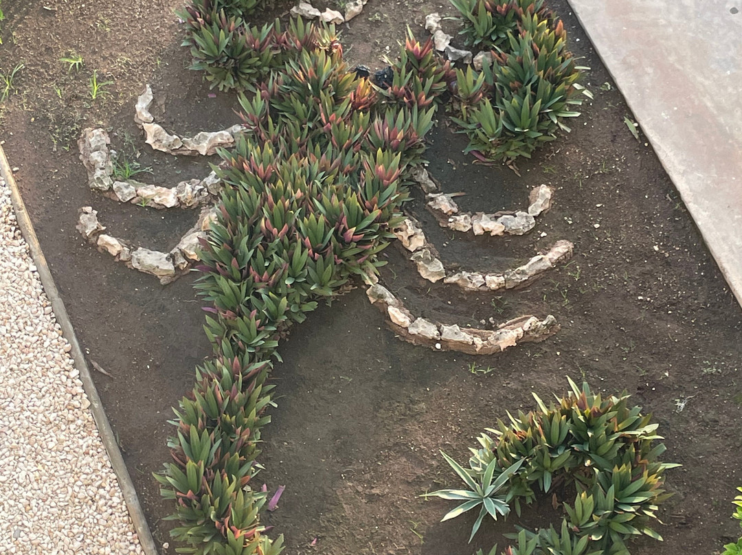 Vila Galé Cayo Paredón主图