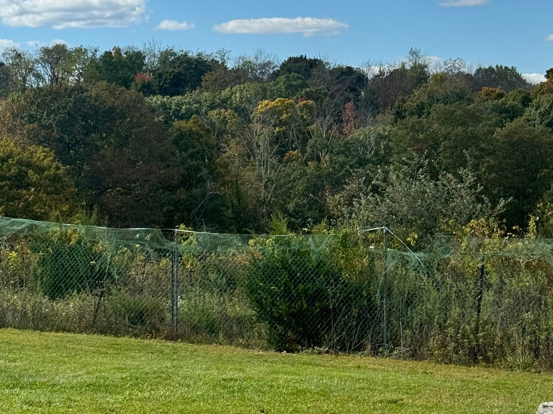 Demarest Hill Winery景点图片