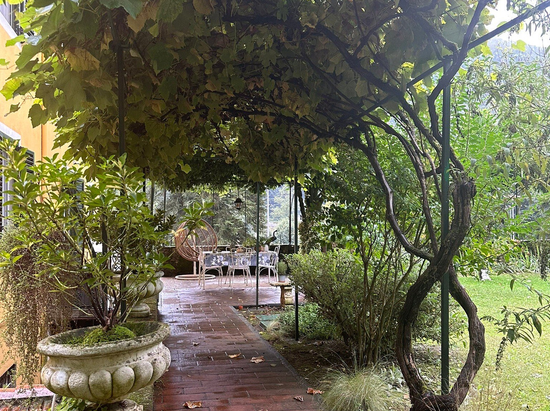 Villa Lucchesi主图