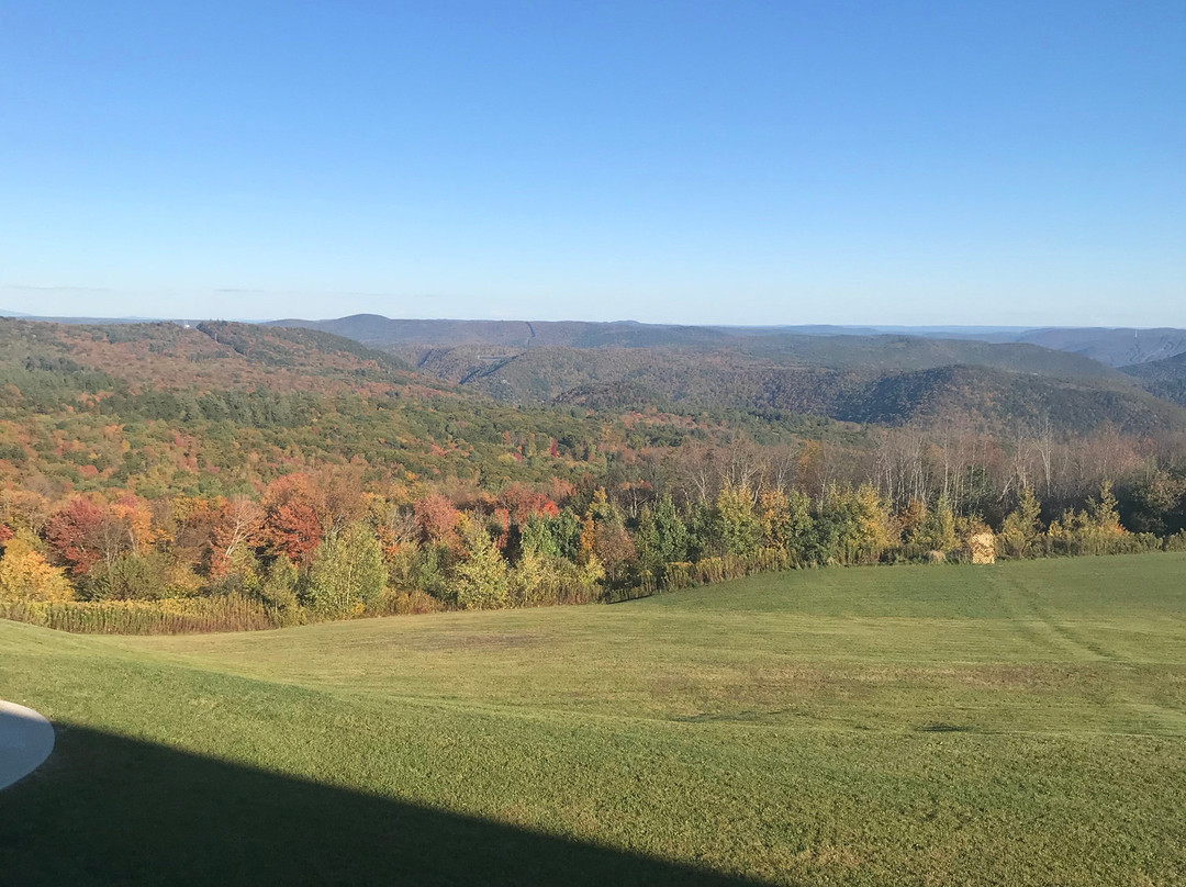 Blue Vista Motor Lodge主图