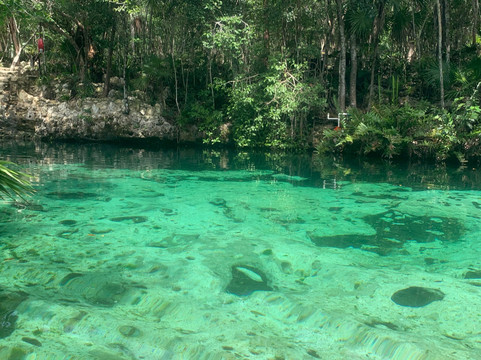 Cenote Yax Kin Camping-图伦必去景点