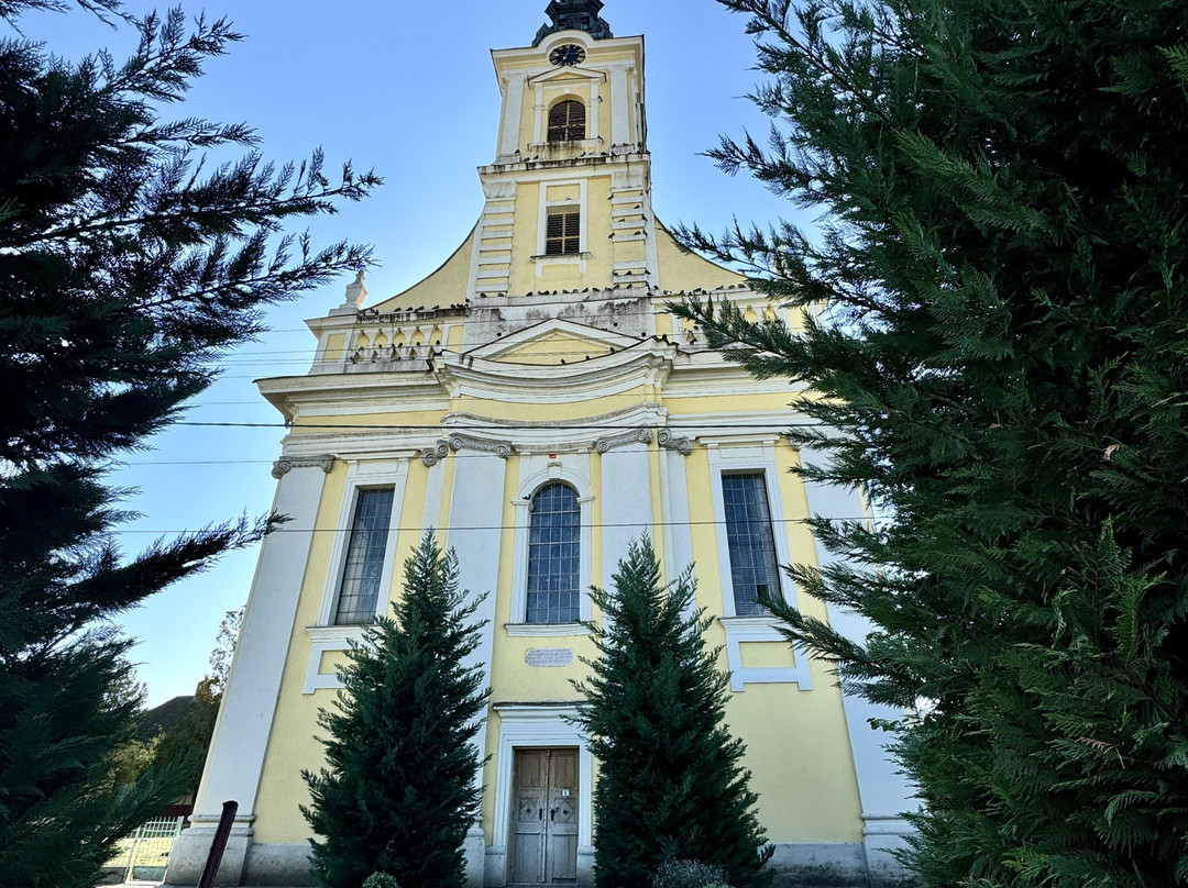 Timisoara Tour Guide景点图片