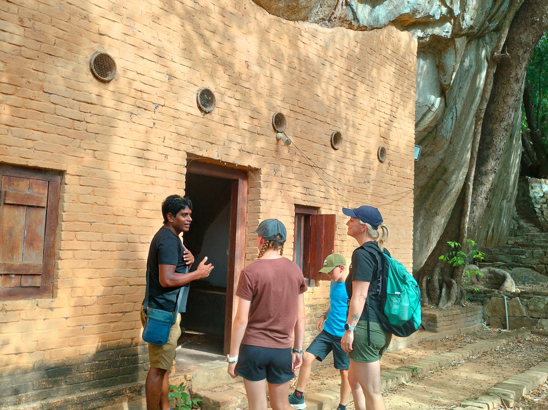 Greenway Tours With Dilip-奴娃拉伊利雅必去景点