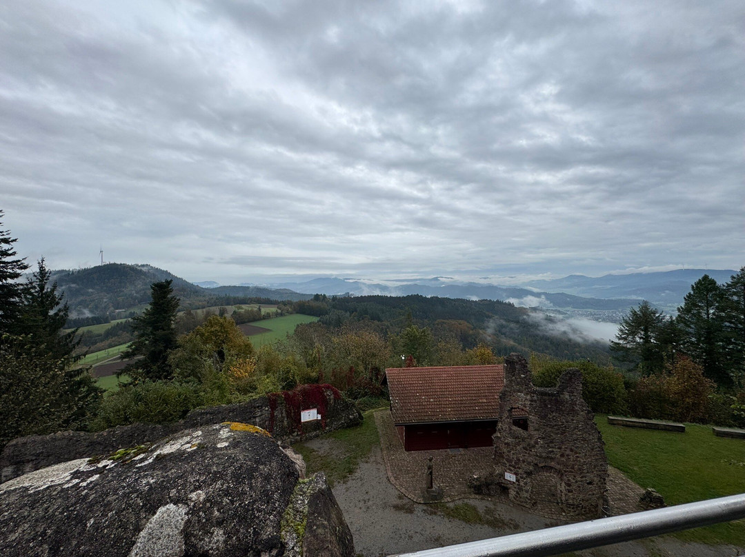 Burgruine Hohengeroldseck景点图片