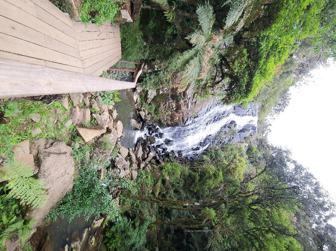Cachoeira Papuã景点图片