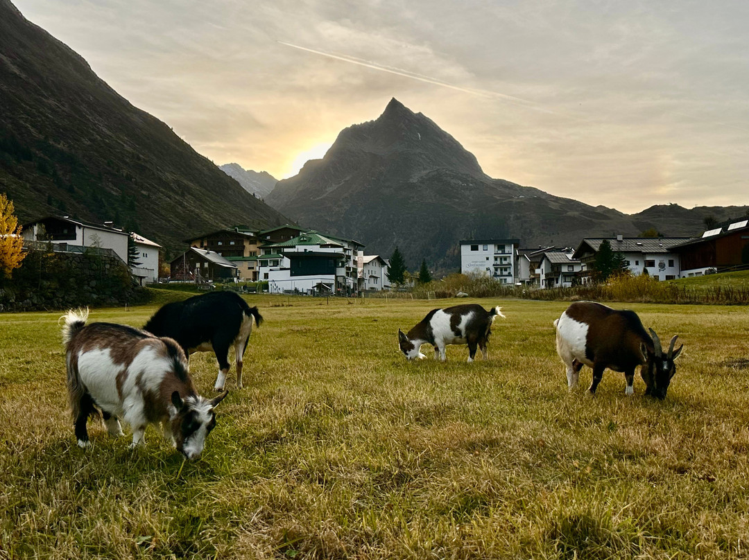 Alpenresidenz Ballunspitze - Kinderhotel主图