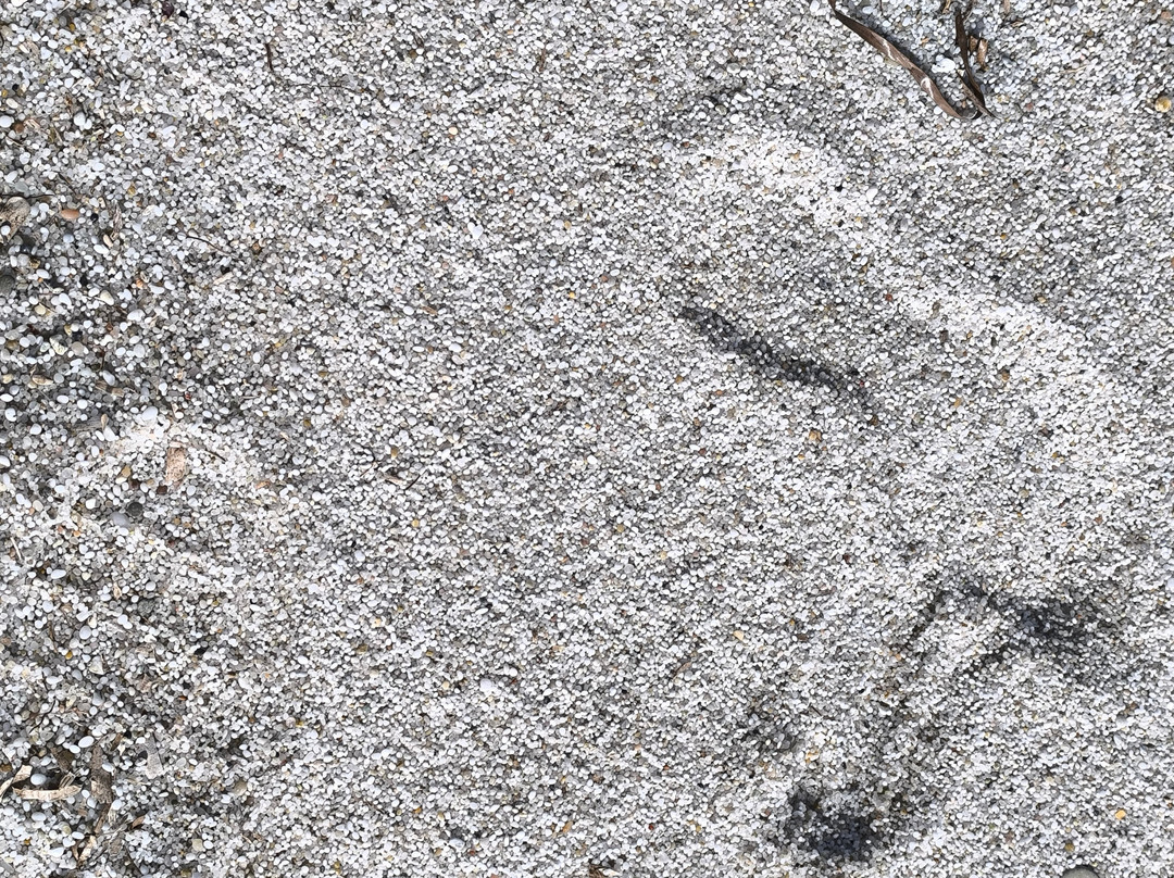 Spiaggia di Maimoni-San Giovanni di Sinis必去景点