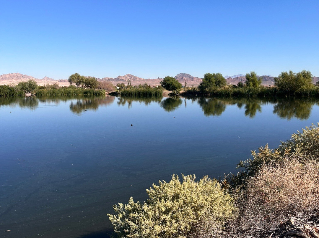 Henderson Bird Viewing Preserve-亨德森必去景点