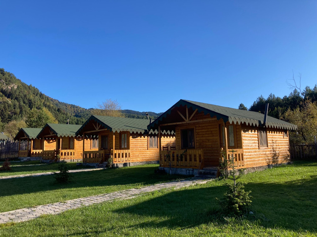 Camping Farm Shelegur