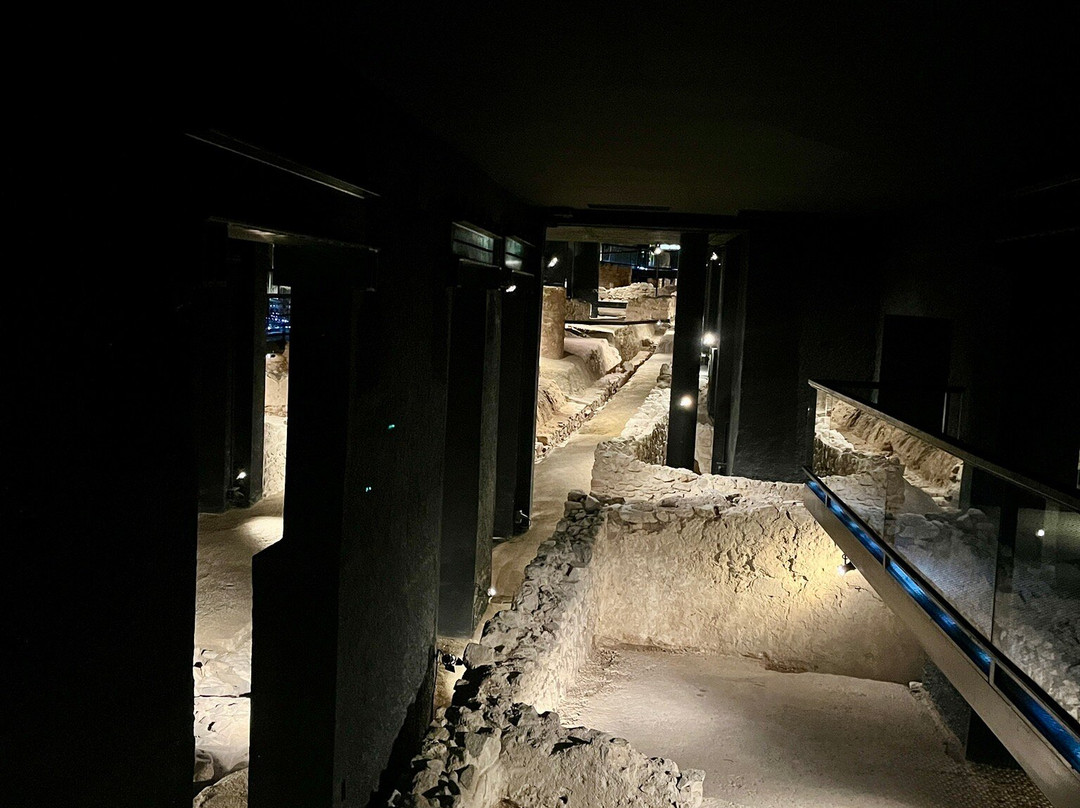Museu de Badalona景点图片