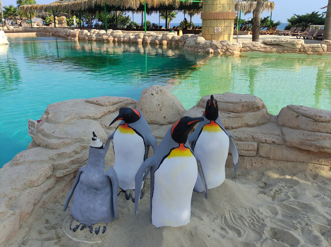 Sealanya Dolphinpark Seapark-蒂尔克莱尔必去景点