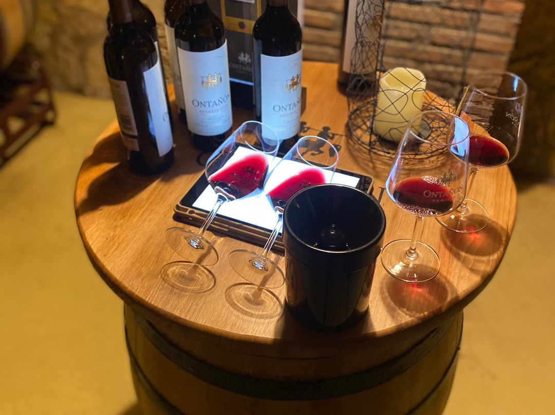 Bodegas Ontañón, El Templo del Vino景点图片