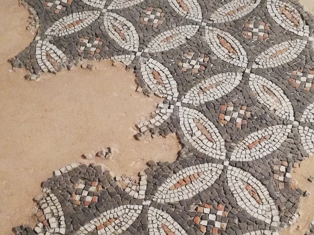 Museo Civico di Crema e del Cremasco景点图片