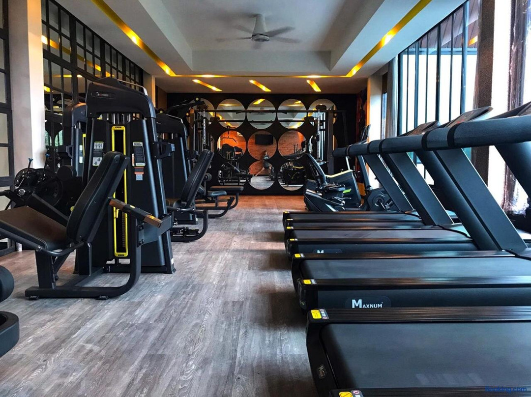 Phā lā si xo dex prāṇī