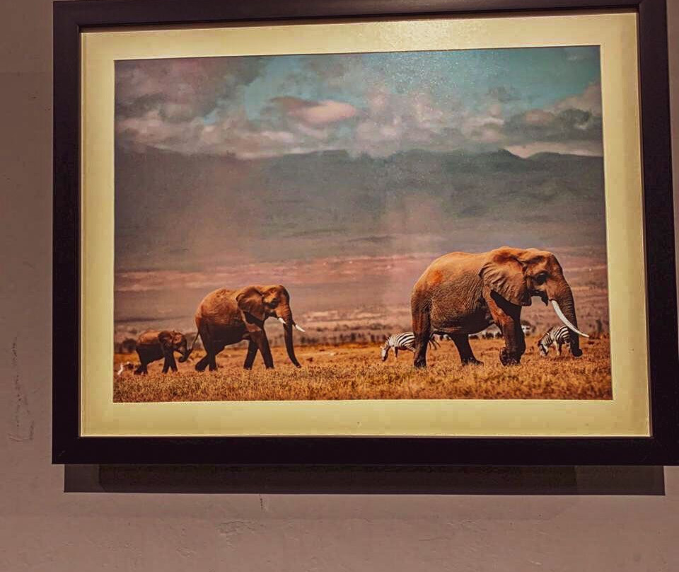 Ardhi gallery-内罗毕必去景点