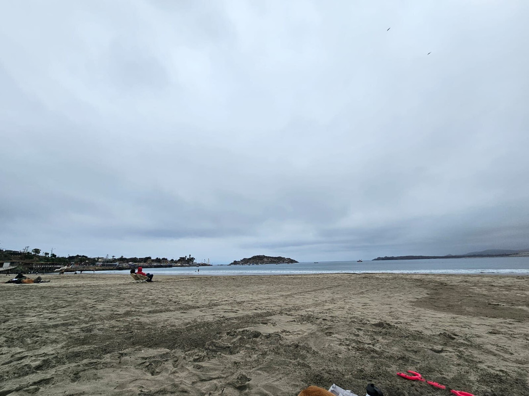 Playa de pichidangui-Pichidangui必去景点