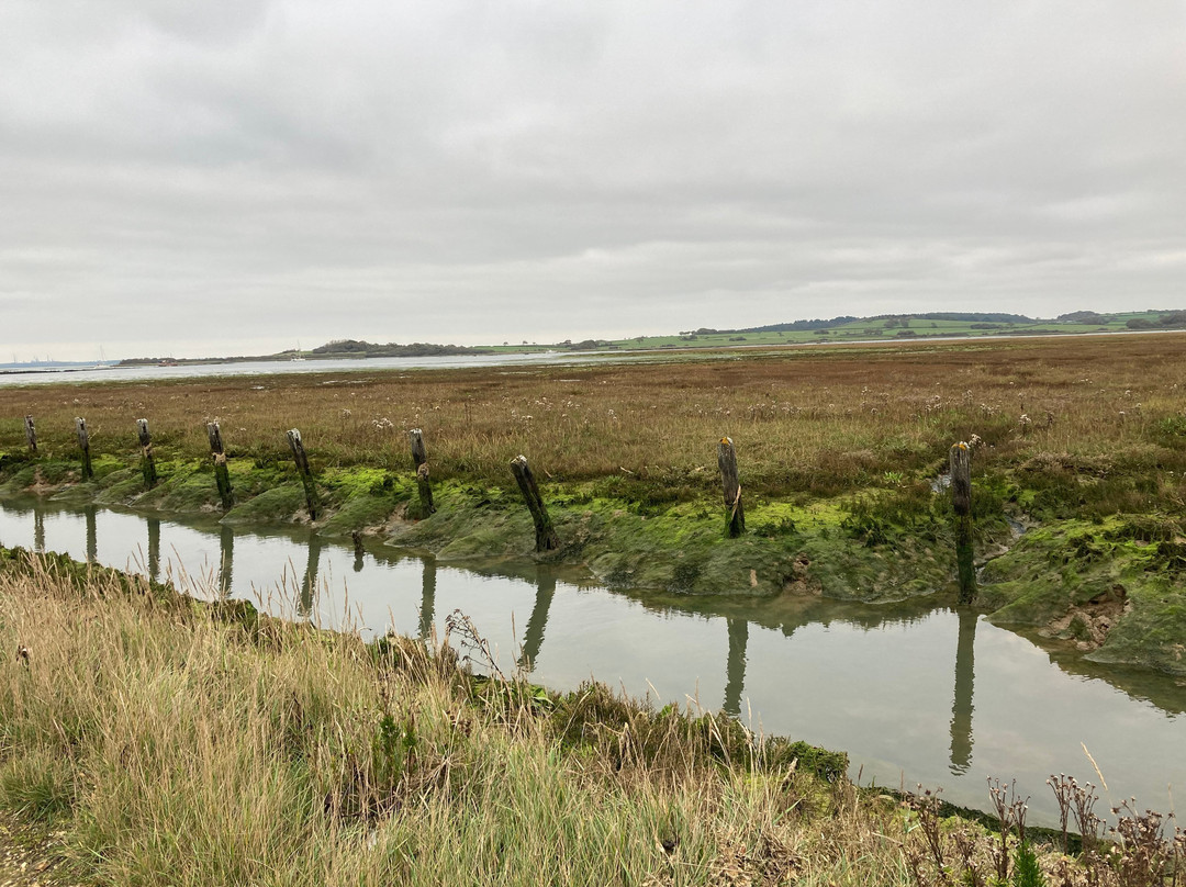 Newtown National Nature Reserve景点图片