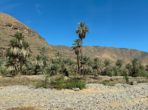 Nature Dream-瓦尔扎扎特必去景点