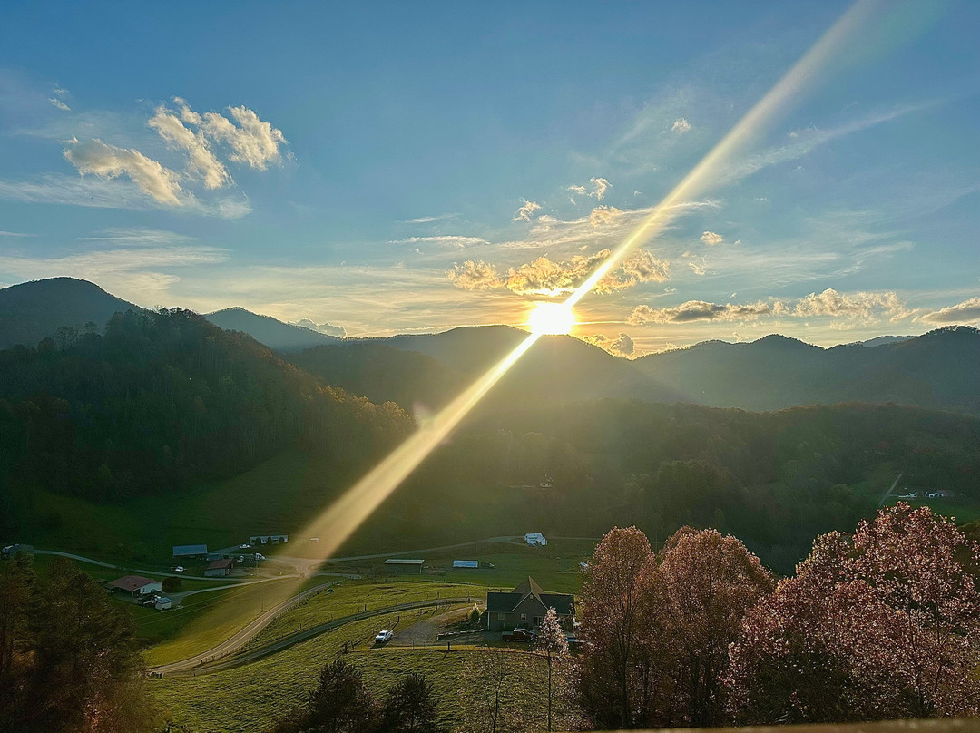莓果 B&B 旅馆主图