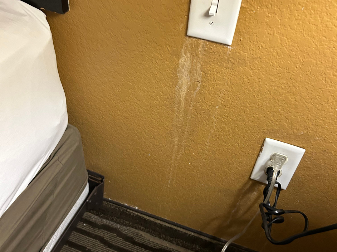 La Quinta Inn & Suites by Wyndham Slidell - North Shore Area主图