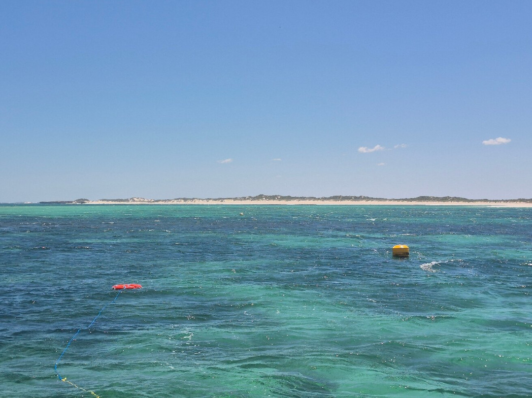 Sea Lion Charters-朱里恩湾必去景点