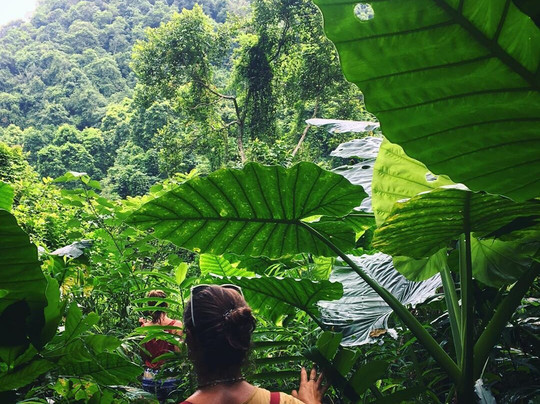 Vietnam Venture Travel