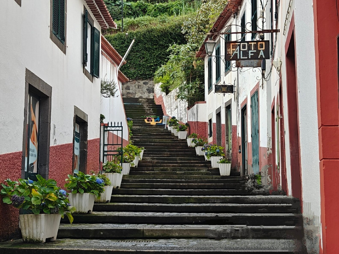 Daniel Madeira Taxis-沙尔必去景点