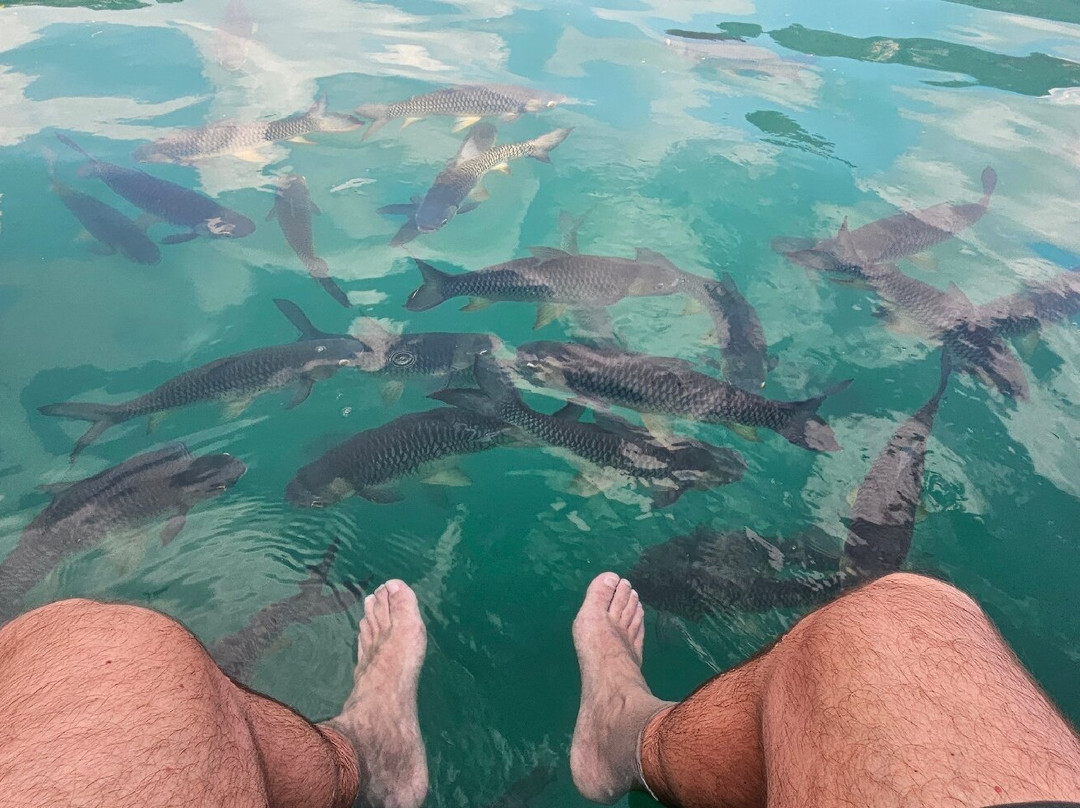 Khao Sok Lake-万打坤必去景点