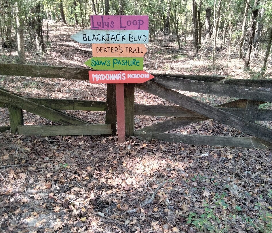 Retirement Home For Horses at Mill Creek Farm景点图片