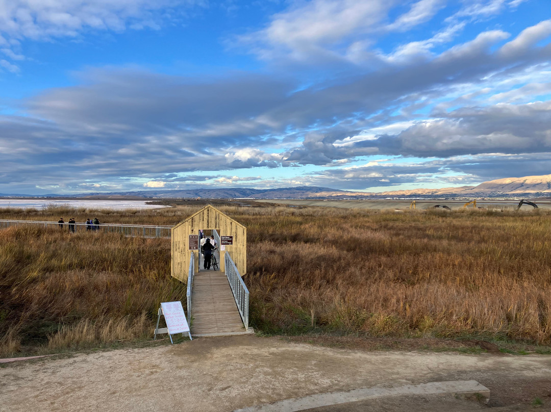 Alviso Marina County Park-Alviso必去景点
