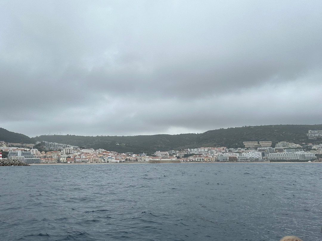 Arrábida Life-塞新布拉必去景点