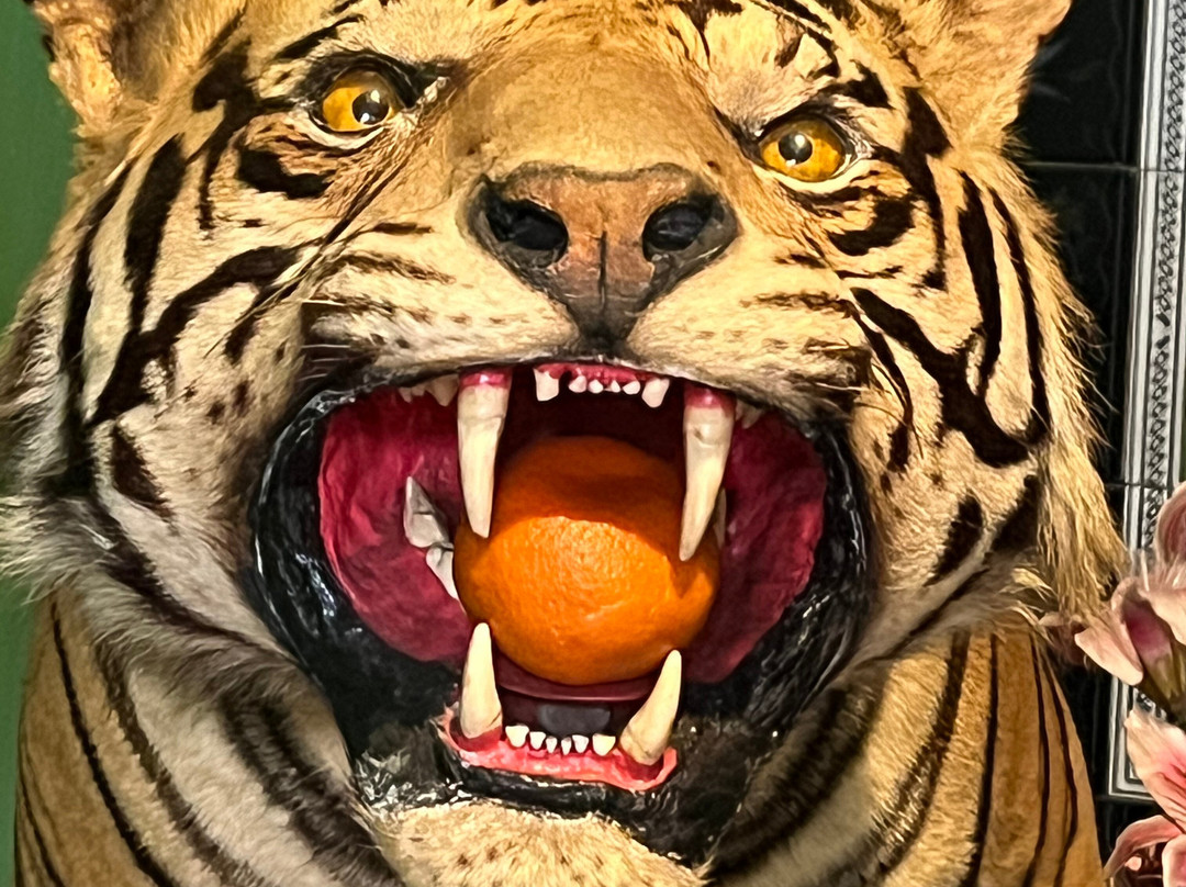 Bogor Tours-茂物必去景点