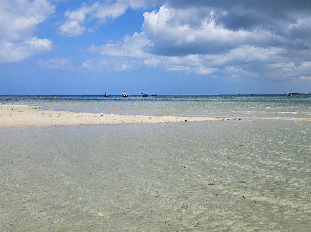 Zerozero sette Zanzibar-Pwani Mchangani必去景点